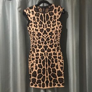 RVN Leopard Jaquard Shift Dress